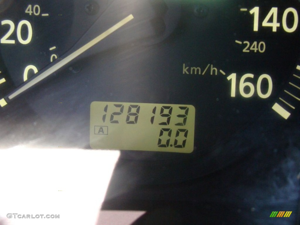 2000 I 30 - Autumn Bronze Pearl / Beige photo #24