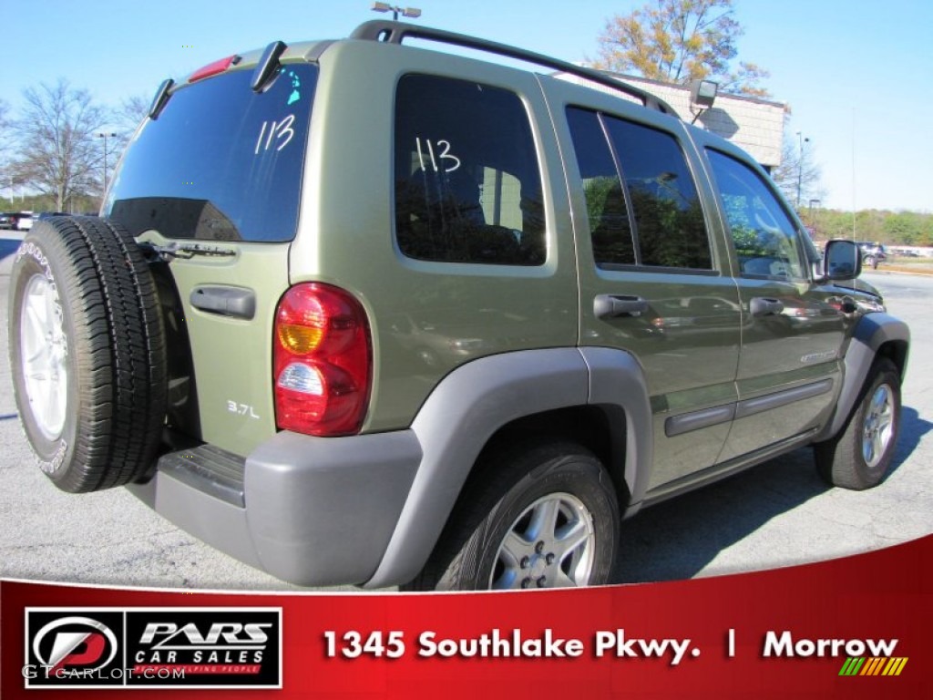 2003 Liberty Sport 4x4 - Cactus Green Pearl / Taupe photo #3