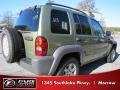 2003 Cactus Green Pearl Jeep Liberty Sport 4x4  photo #3