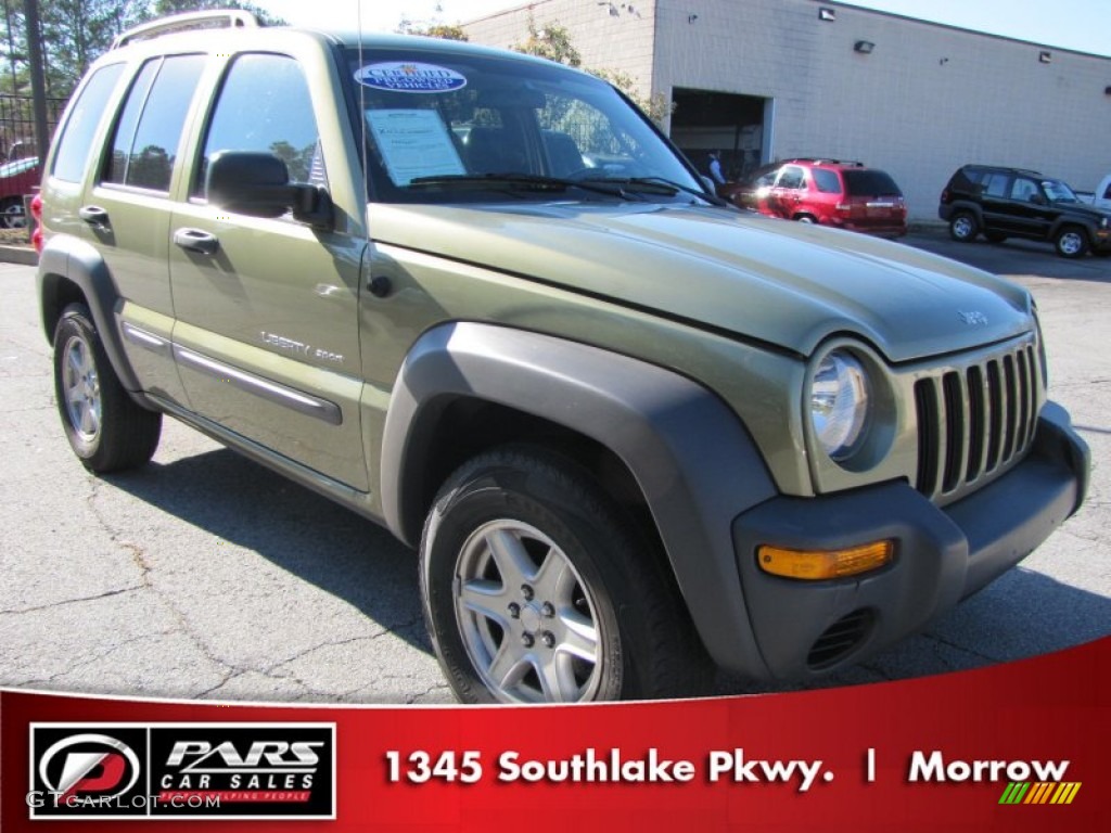2003 Liberty Sport 4x4 - Cactus Green Pearl / Taupe photo #4