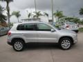 Reflex Silver Metallic - Tiguan SE Photo No. 6