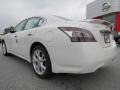 Winter Frost White - Maxima 3.5 SV Photo No. 3