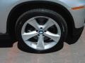 2009 BMW X6 xDrive50i Wheel and Tire Photo