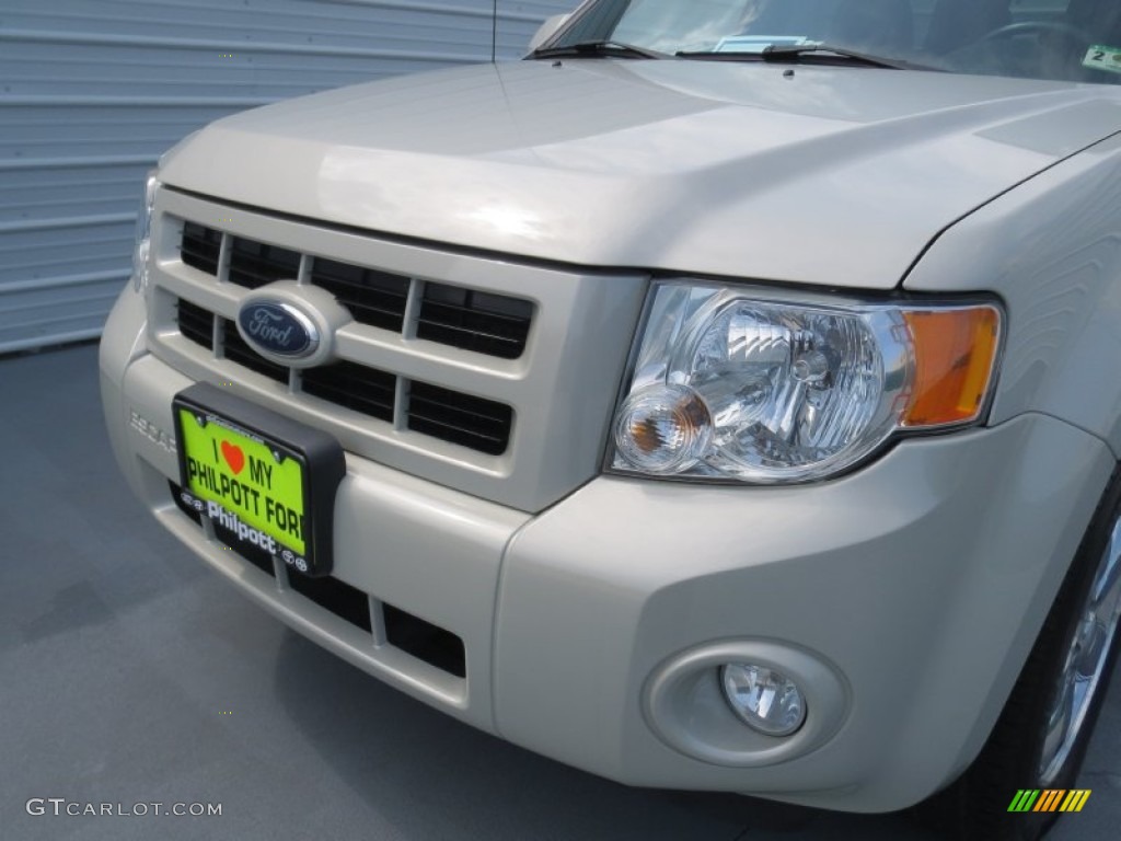 2008 Escape Limited - Light Sage Metallic / Charcoal photo #8