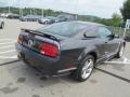 2007 Alloy Metallic Ford Mustang GT Coupe  photo #10