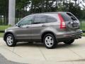 2010 Urban Titanium Metallic Honda CR-V EX-L  photo #6