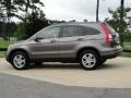 2010 Urban Titanium Metallic Honda CR-V EX-L  photo #7