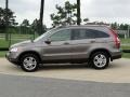 2010 Urban Titanium Metallic Honda CR-V EX-L  photo #8