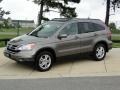 2010 Urban Titanium Metallic Honda CR-V EX-L  photo #9