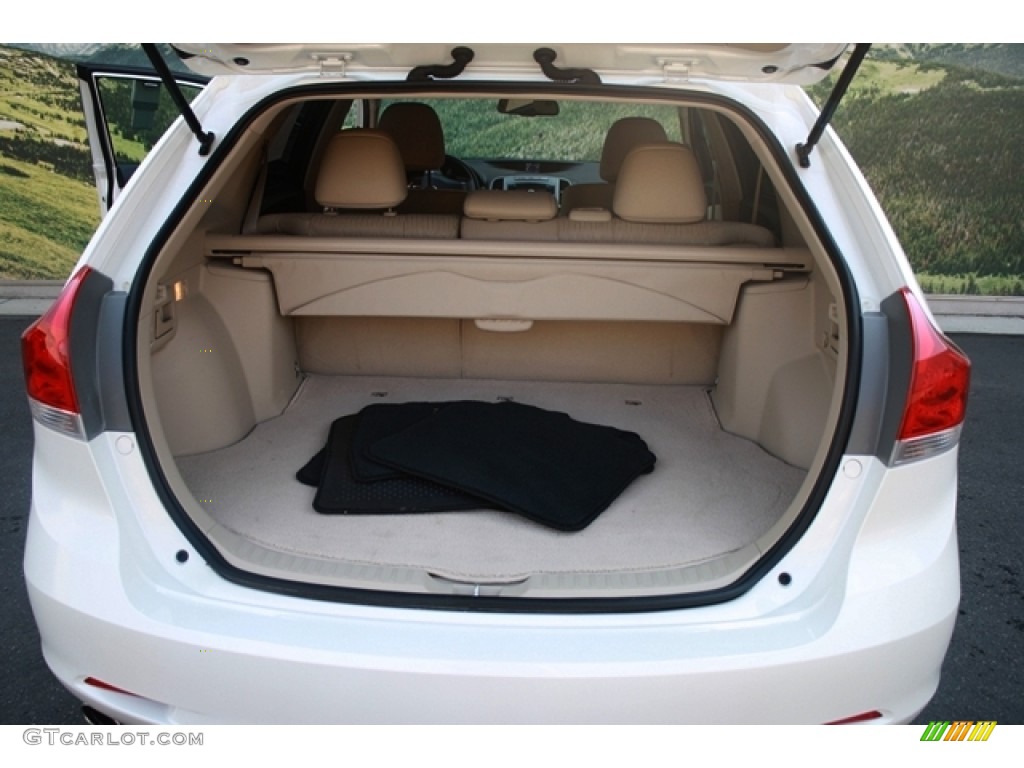 2009 Toyota Venza V6 AWD Trunk Photo #69260370