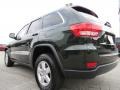 Natural Green Pearl - Grand Cherokee Laredo X Package Photo No. 5