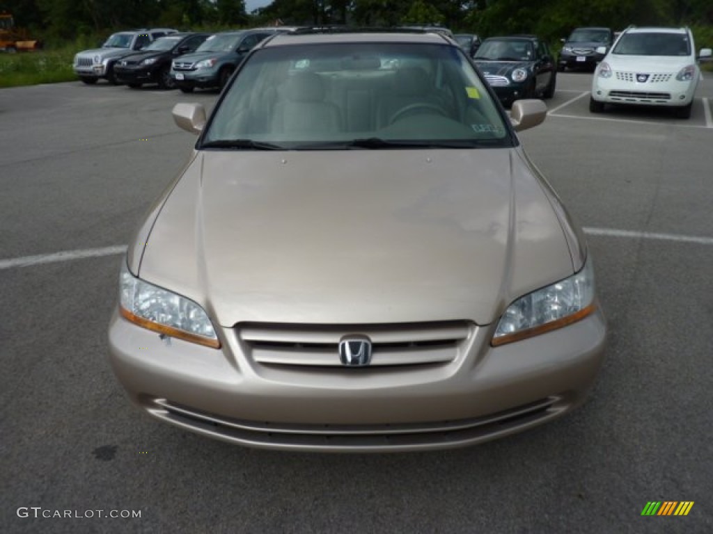 2002 Accord EX V6 Sedan - Naples Gold Metallic / Ivory photo #2