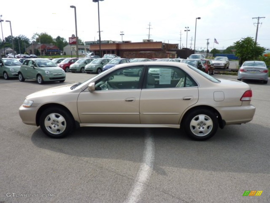 2002 Accord EX V6 Sedan - Naples Gold Metallic / Ivory photo #4