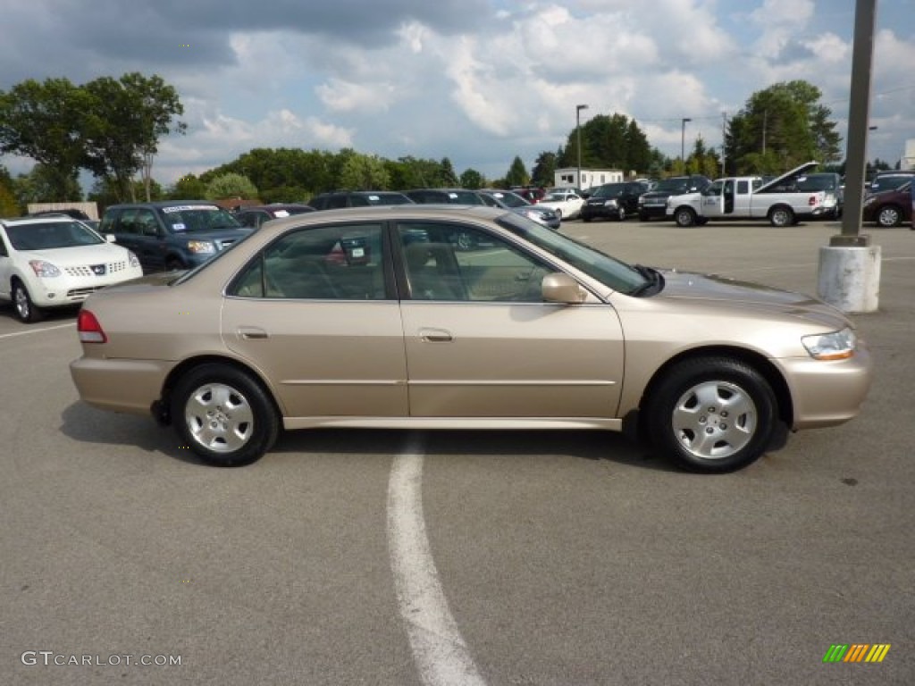 2002 Accord EX V6 Sedan - Naples Gold Metallic / Ivory photo #8