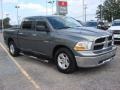 2010 Mineral Gray Metallic Dodge Ram 1500 ST Crew Cab  photo #6