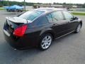 Super Black - Maxima 3.5 SE Photo No. 4