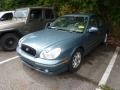 Celadon Green - Sonata GLS V6 Photo No. 3
