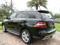 Black - ML 350 Photo No. 3