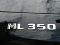 2013 Black Mercedes-Benz ML 350  photo #4