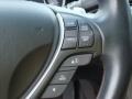 Umber/Ebony Controls Photo for 2009 Acura TL #69287016