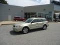 Champagne Gold Opal - Outback 2.5i Wagon Photo No. 51