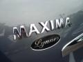 Precision Gray Metallic - Maxima 3.5 S Photo No. 7