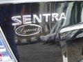 Super Black - Sentra 2.0 S Photo No. 7