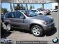 Sterling Grey Metallic - X5 3.0i Photo No. 1