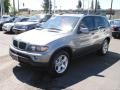 2006 Sterling Grey Metallic BMW X5 3.0i  photo #5