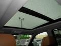 Saddle Brown Nevada Leather Sunroof Photo for 2009 BMW X5 #69304664