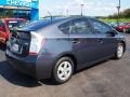 2010 Winter Gray Metallic Toyota Prius Hybrid II  photo #3