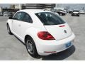 Candy White - Beetle 2.5L Photo No. 6