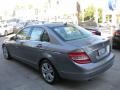 Palladium Silver Metallic - C 300 Luxury Photo No. 4