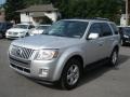 Ingot Silver Metallic - Mariner Premier V6 AWD Photo No. 3