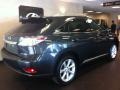 Smokey Granite Mica - RX 350 AWD Photo No. 2