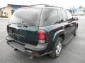 2005 Emerald Jewel Green Metallic Chevrolet TrailBlazer LT 4x4  photo #23