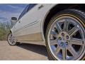 2010 Cadillac DTS Biarritz Edition Wheel and Tire Photo