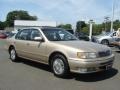 Pebble Beige Metallic - I 30 Photo No. 3