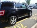 2009 Black Ford Escape XLT V6 4WD  photo #6