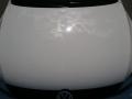 Candy White - Jetta TDI Sedan Photo No. 17