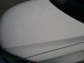Candy White - Jetta TDI Sedan Photo No. 19