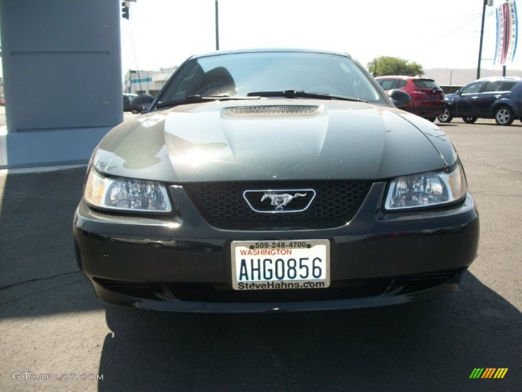 1999 Mustang V6 Coupe - Dark Green Satin Metallic / Medium Parchment photo #6