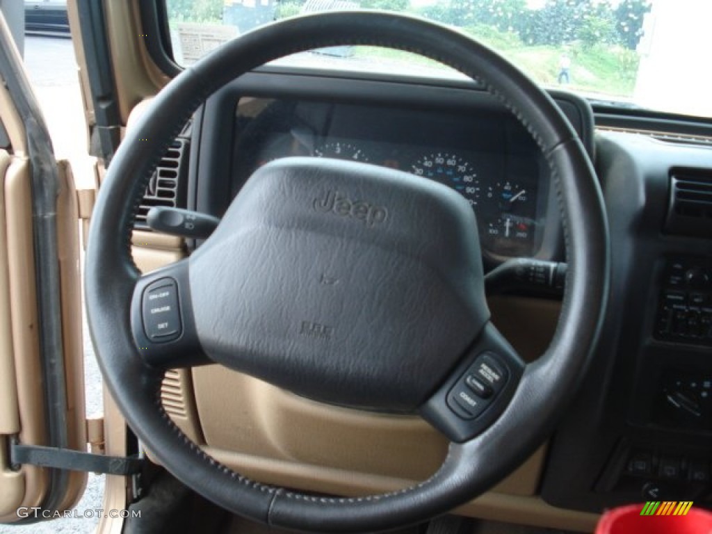 2000 Jeep Wrangler Sahara 4x4 Camel/Dark Green Steering Wheel Photo #69351884