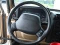 2000 Jeep Wrangler Camel/Dark Green Interior Steering Wheel Photo
