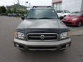Polished Pewter Metallic - Pathfinder SE 4x4 Photo No. 2