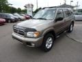 2003 Polished Pewter Metallic Nissan Pathfinder SE 4x4  photo #3