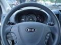 2009 Clear White Kia Sedona LX  photo #21