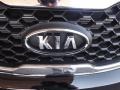 2013 Ebony Black Kia Sorento LX  photo #19