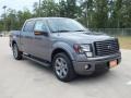 Sterling Gray Metallic 2012 Ford F150 Gallery