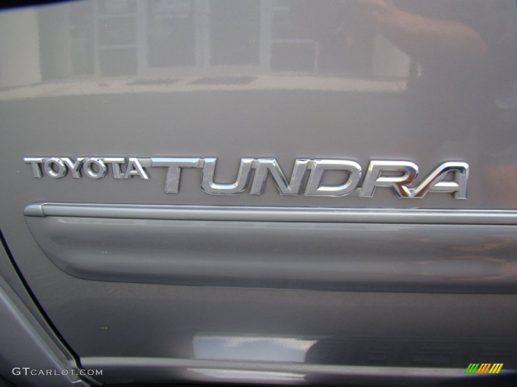 2006 Tundra SR5 Double Cab - Silver Sky Metallic / Light Charcoal photo #30